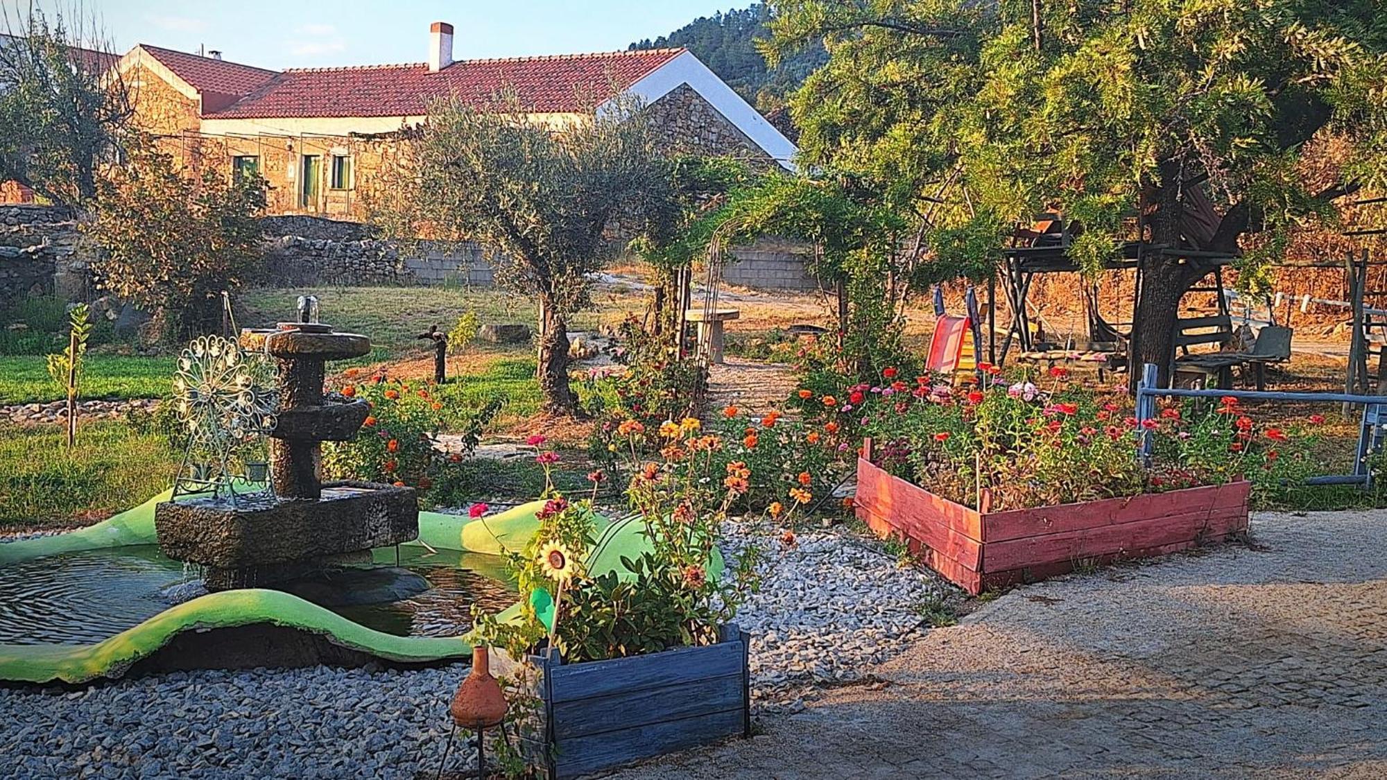 Zion Jardim Monsanto Bed and Breakfast Eksteriør billede